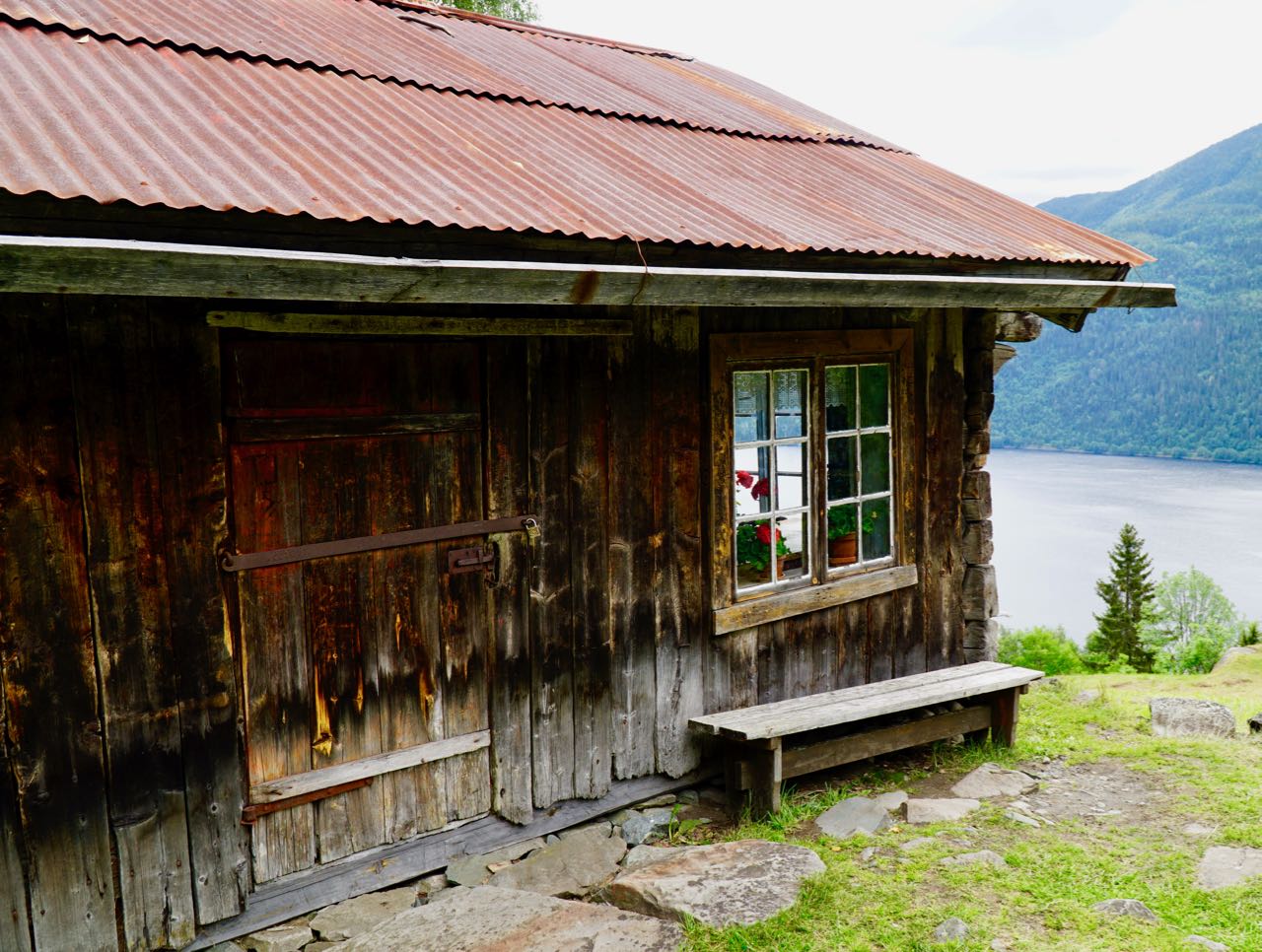 Rui farm window view