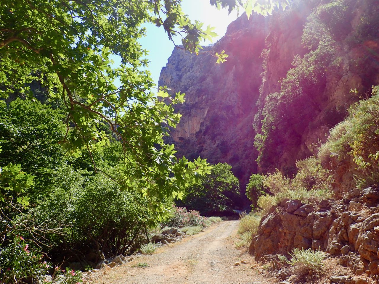 Deliana Gorge sunshine road