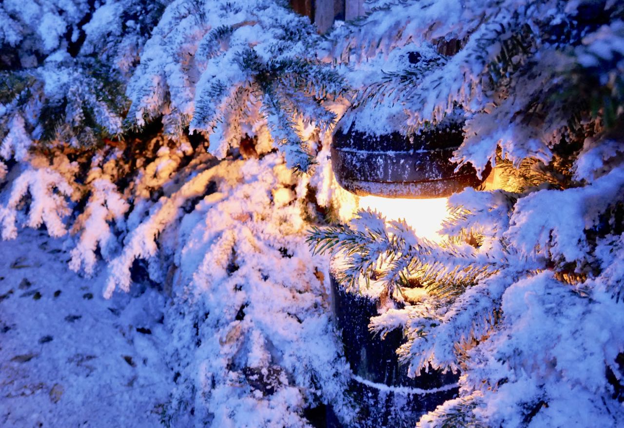 Liseberg Christmas