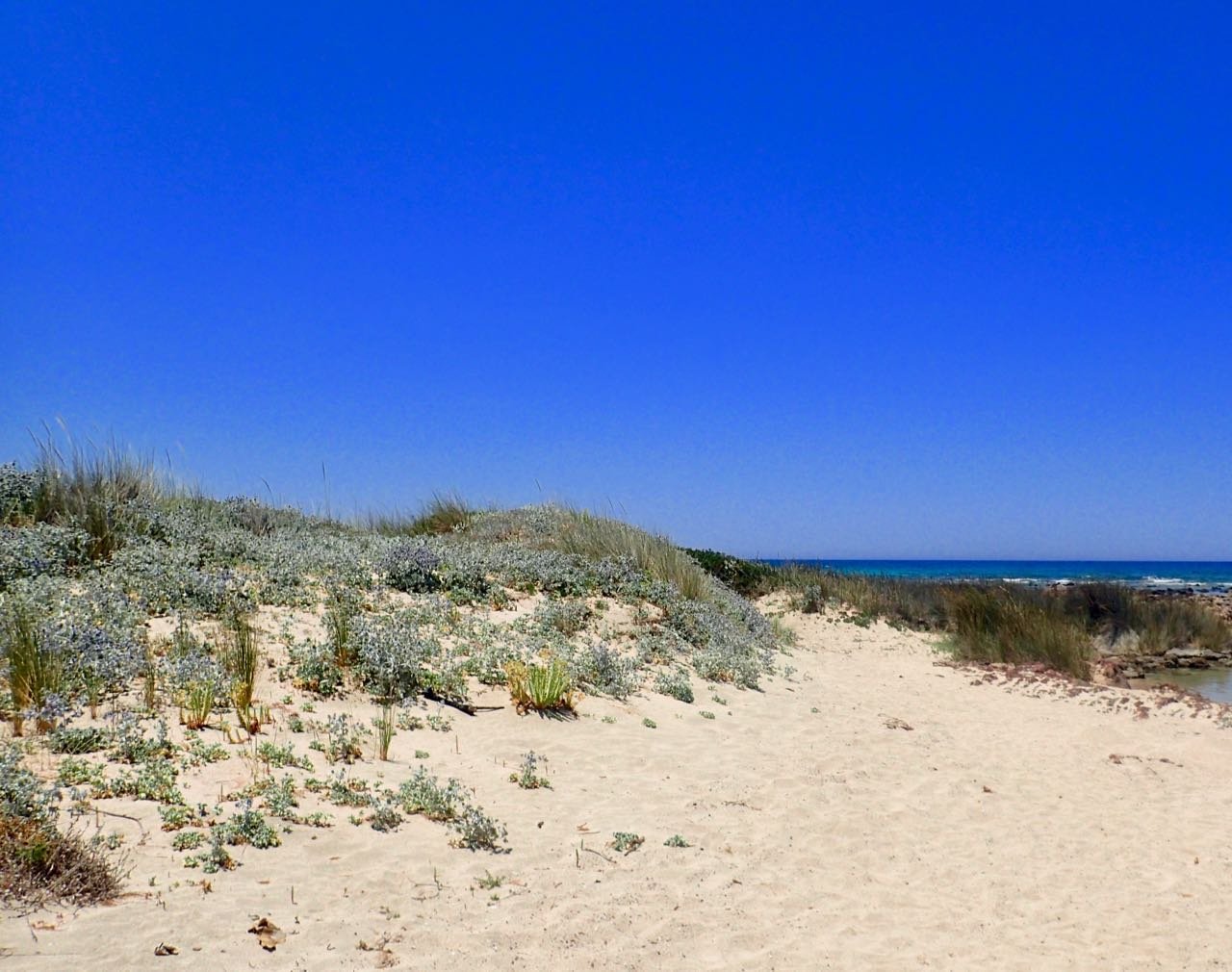 Kissamos strand hemmelig rosa