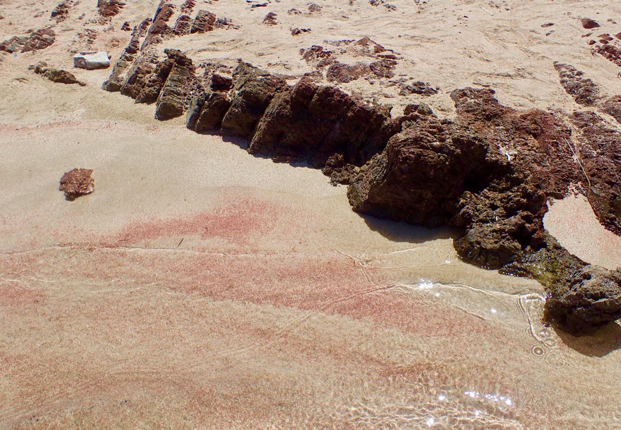 Kissamos strand hemmelig rosa