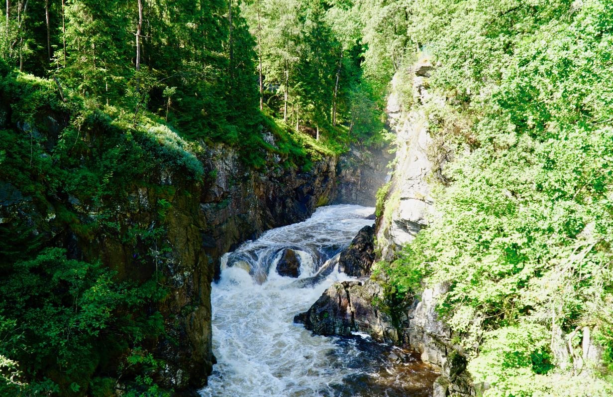 Elva Lynga Nasjonalt Villakssenter - Kvåsfossen