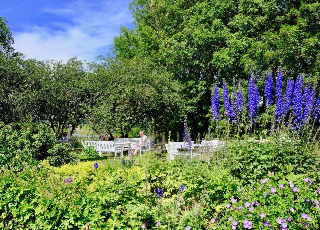 Helgøya Skafferiet kafe utside blomster