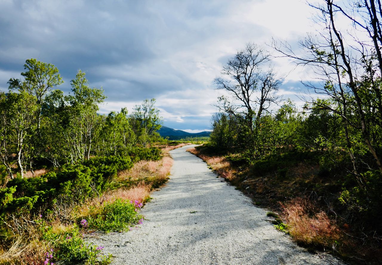 Tour de Dovre anmeldelse