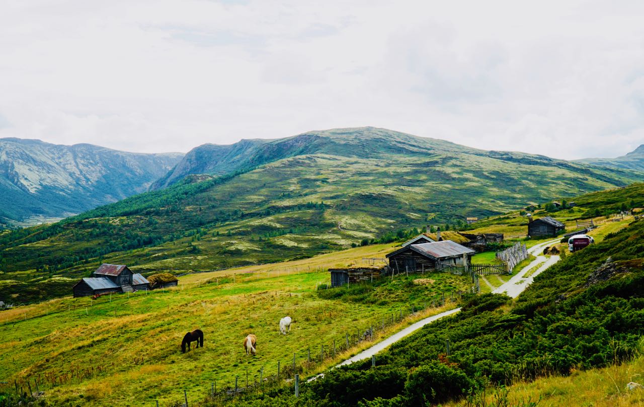 Tour de Dovre Grimdalen review