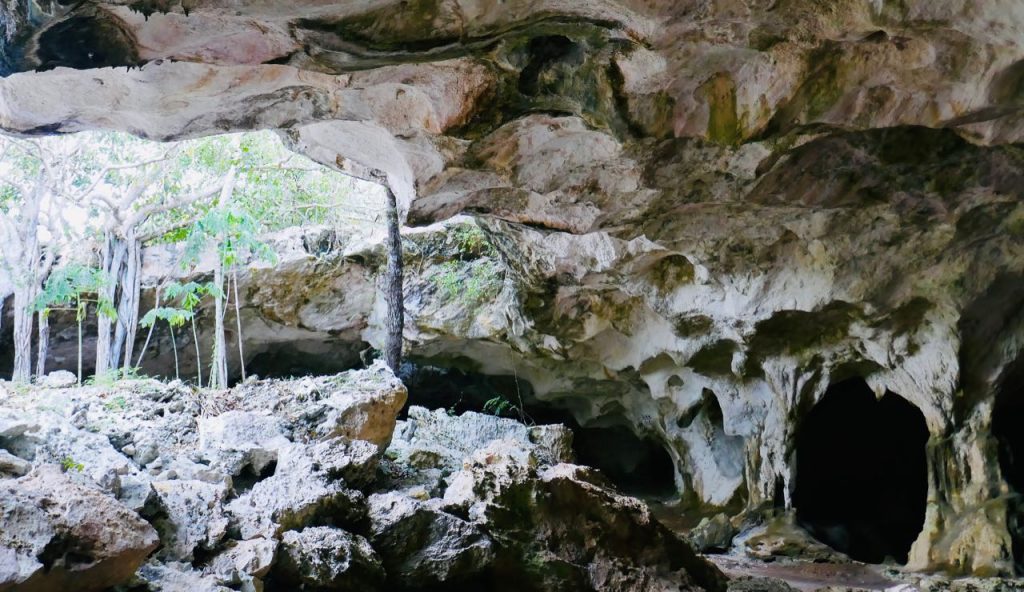 All you need to know day trip north middle caicos Conch Bar Caves