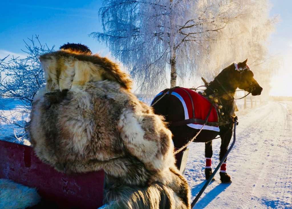 Rollstad gård juletre selvhogst hest og slede