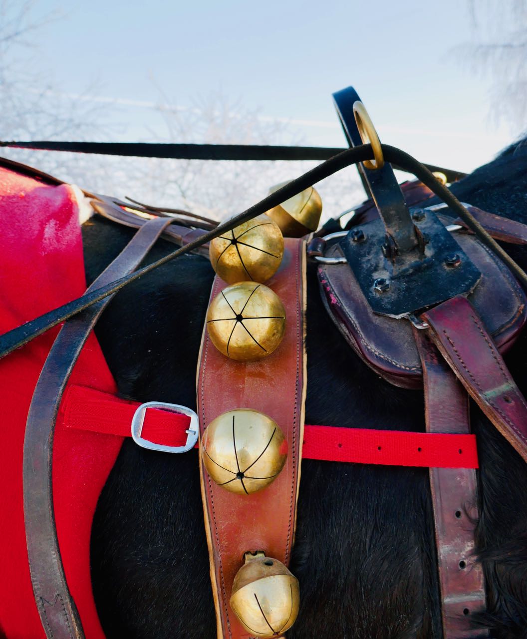 Rollstad gård juletre selvhogst hest og slede