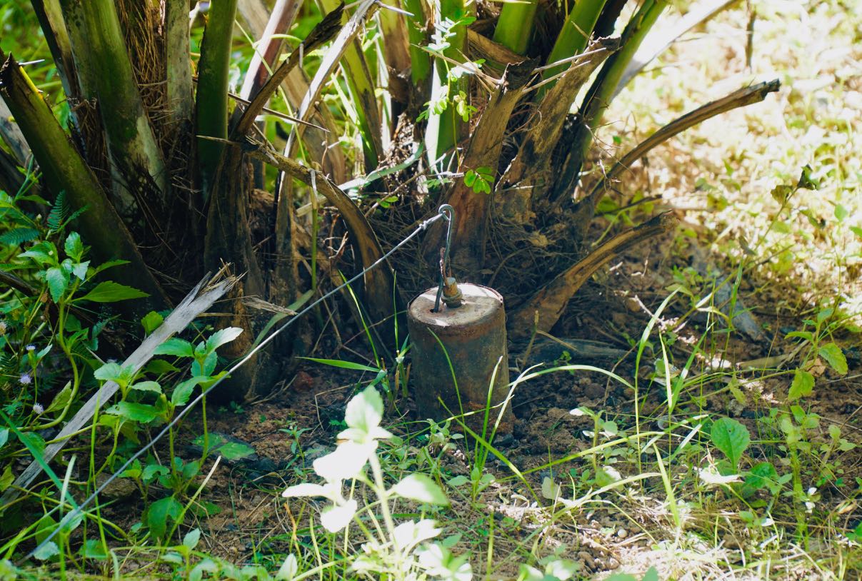 APOPO Visitor Center landmine rotter omtale