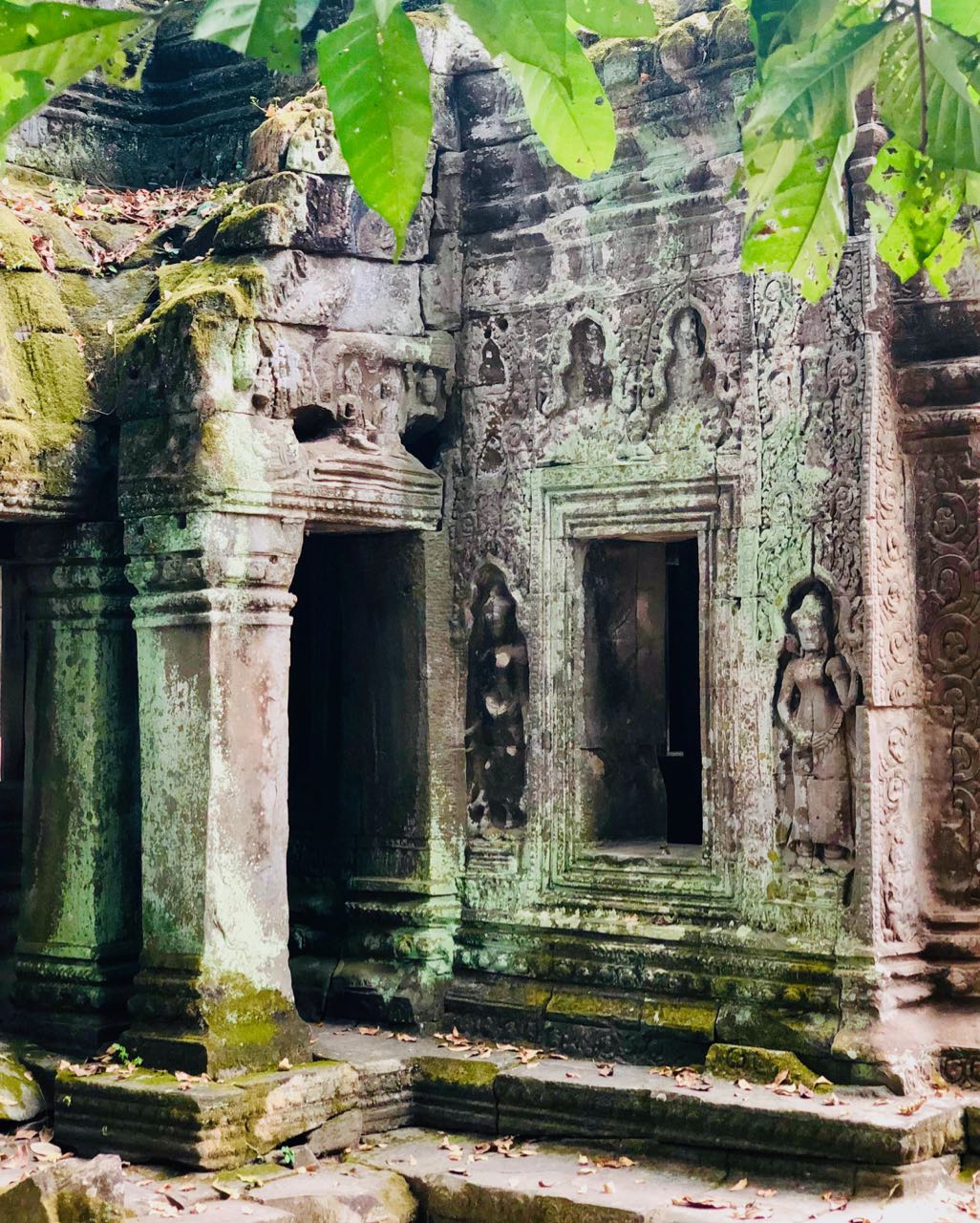 Ta Promh Temple wall carvings Angkor Kambodsja Siem Reap review