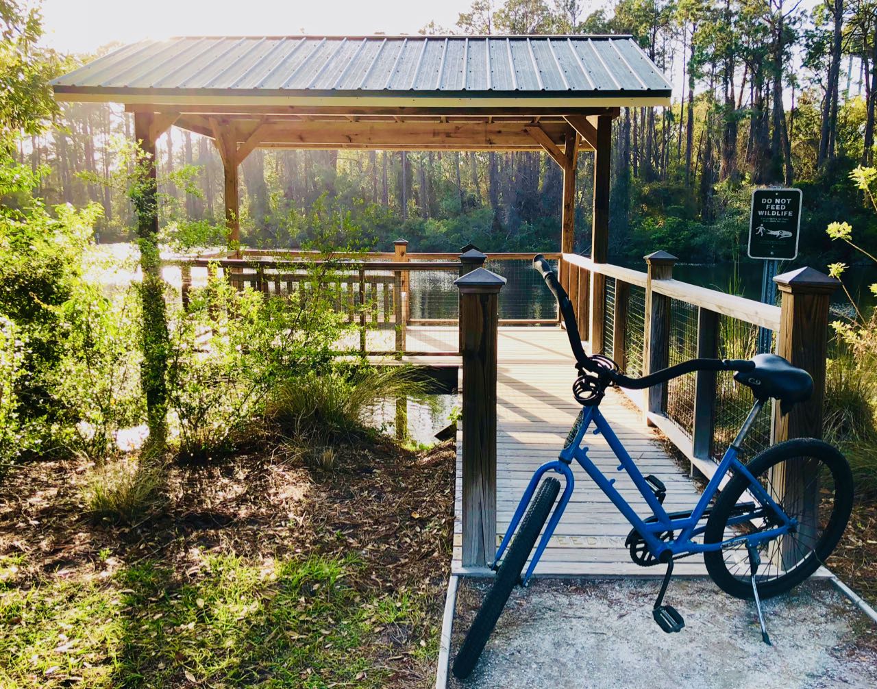 Høydepunkter fra reiseåret 2018 Jekyll Island