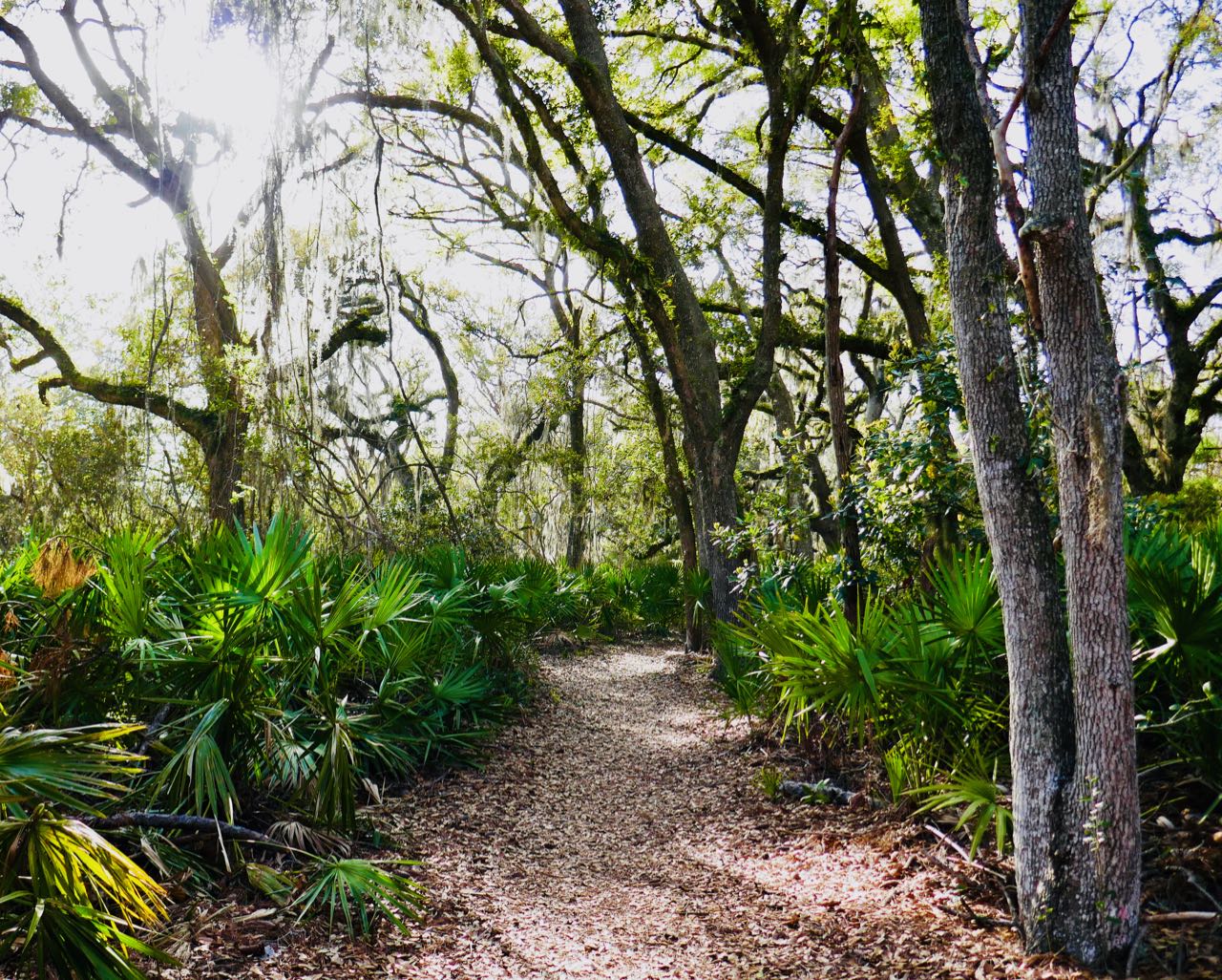 Travel Highlights 2018 Jekyll Island