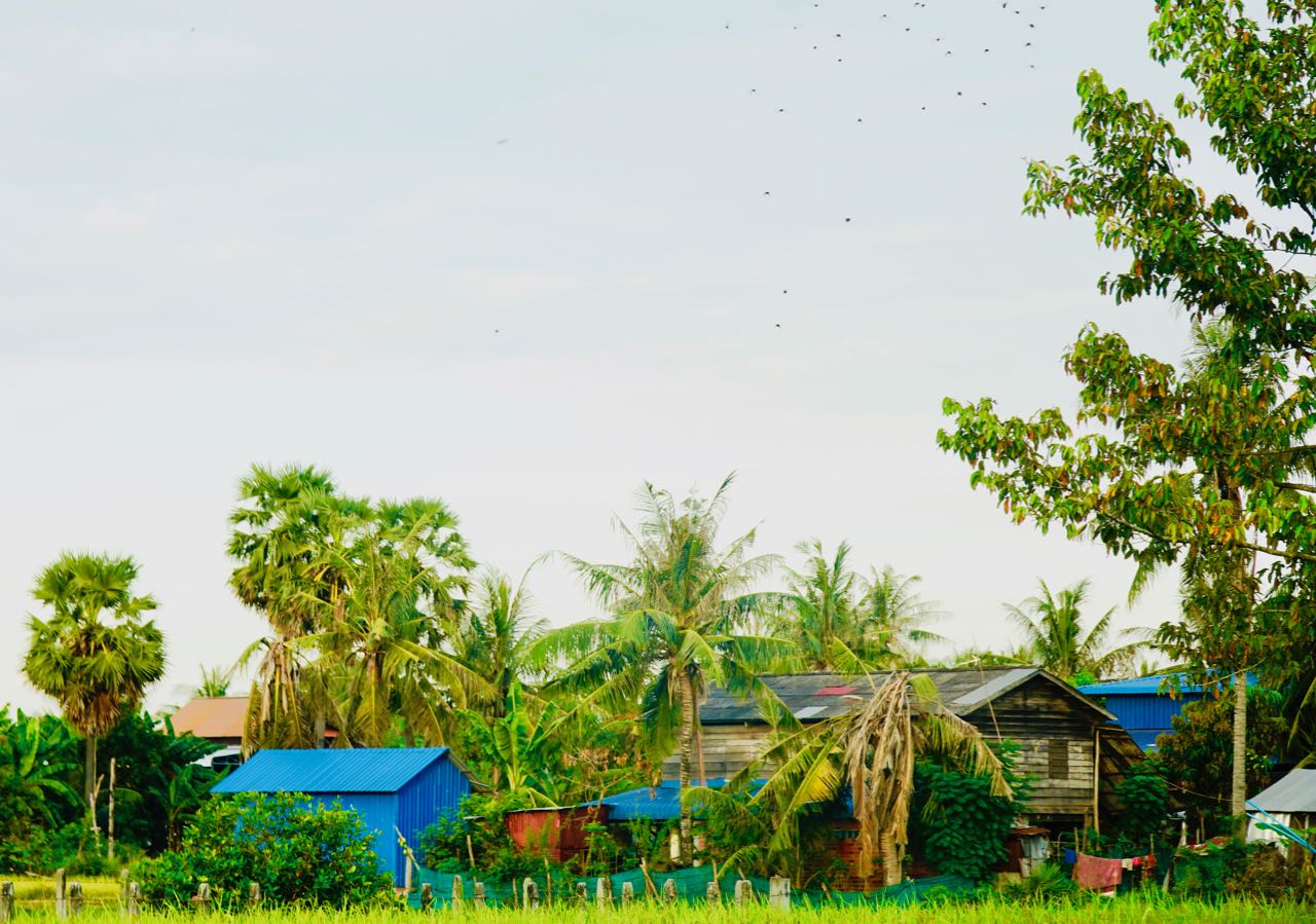 Oksekjerretur Siem Reap Kambodsja familiehjem anmeldelse