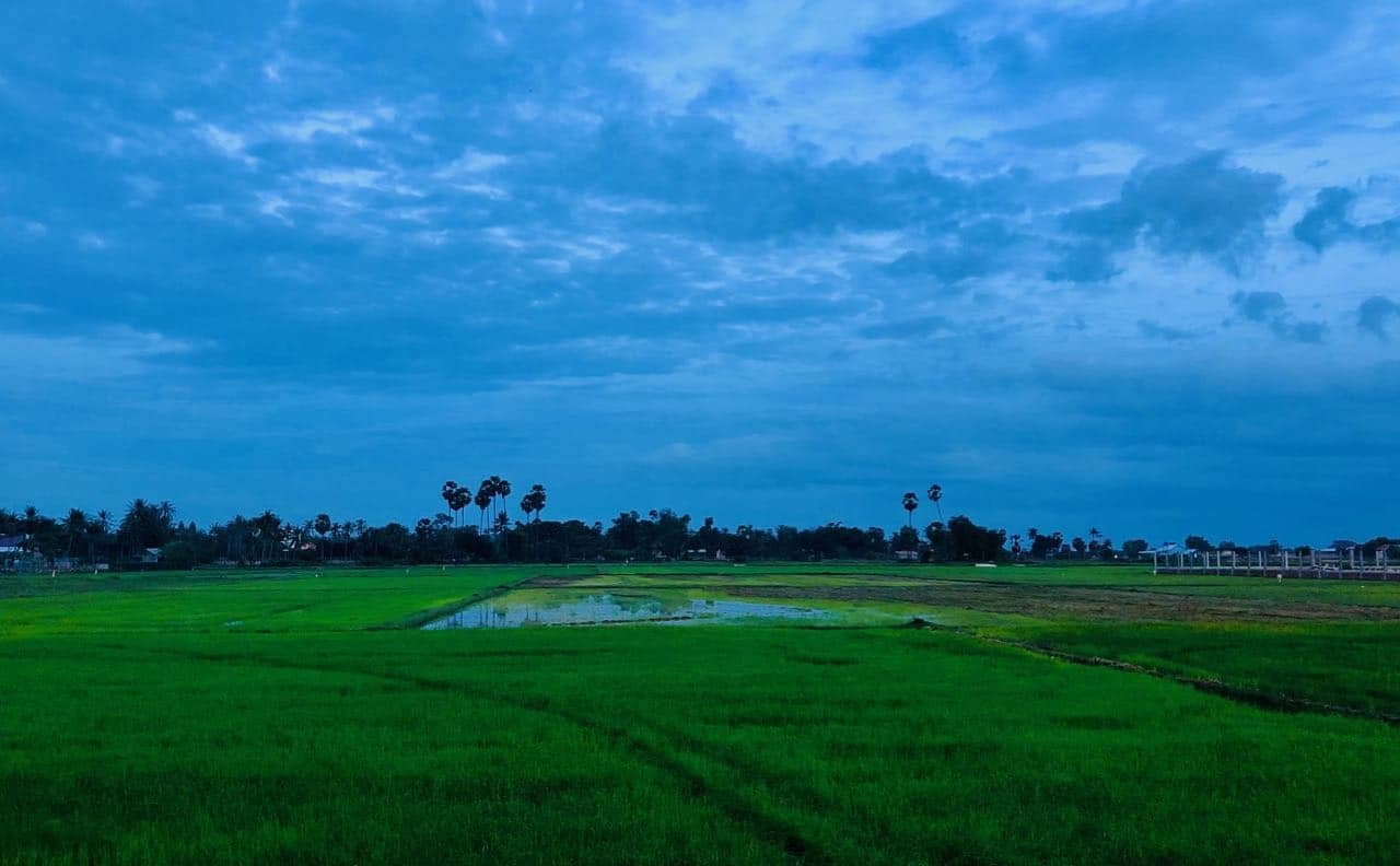 Oksekjerretur Siem Reap Kambodsja solnedgang anmeldelse