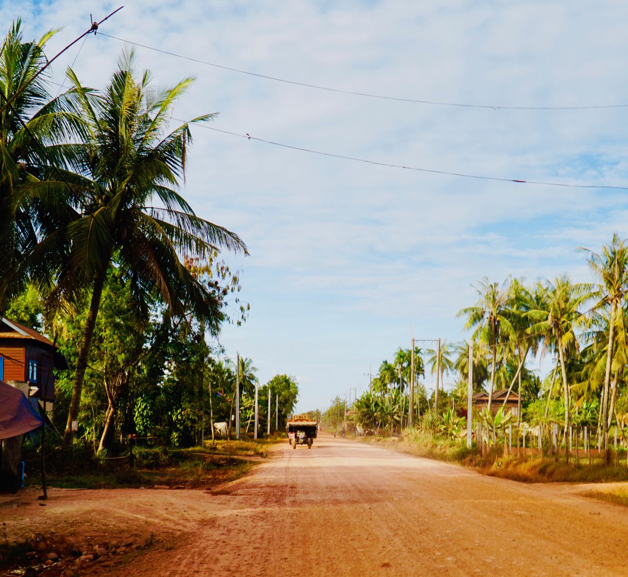 Oksekjerretur Siem Reap Kambodsja anmeldelse