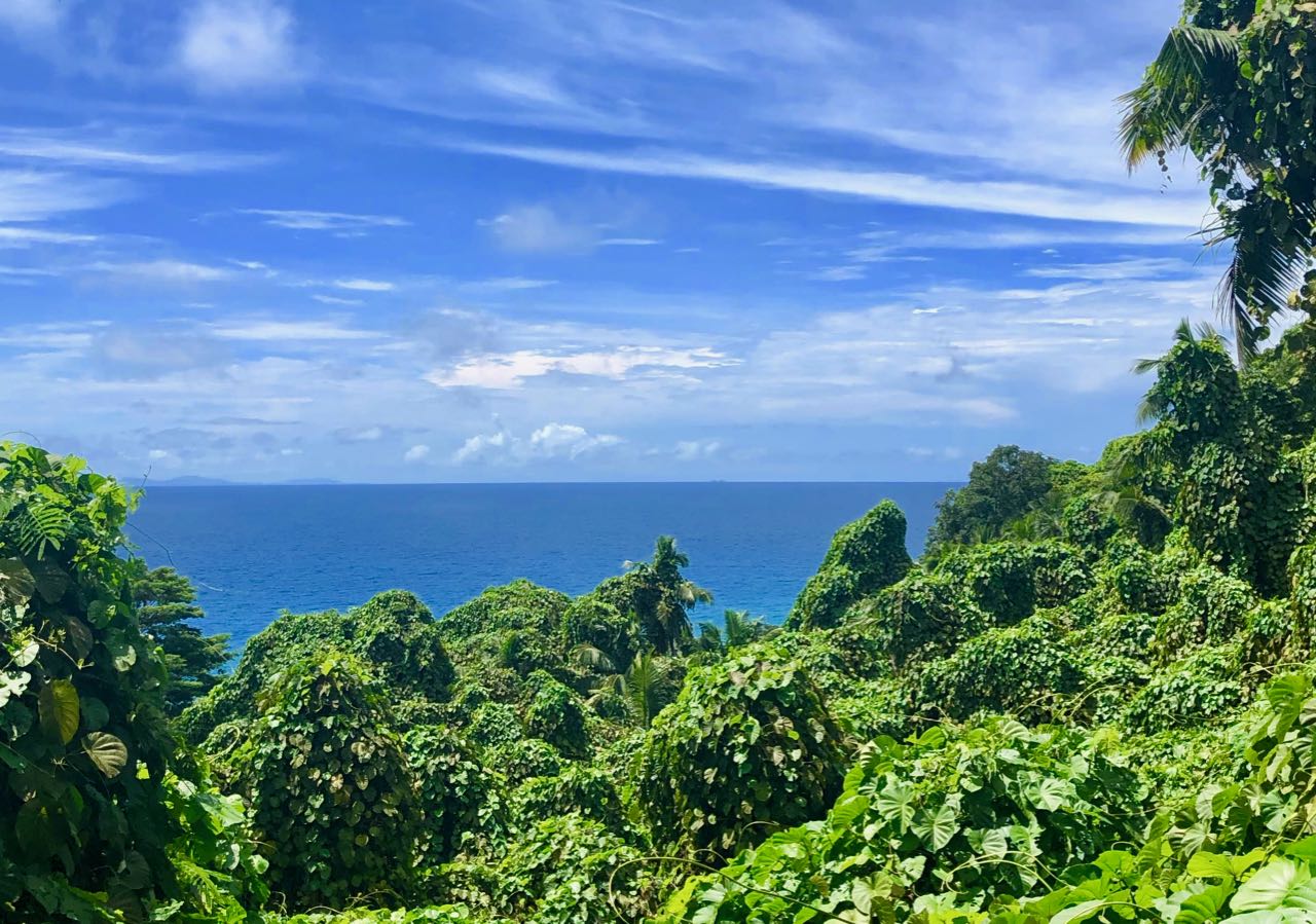 Jungle view point Hilton Seychelles Labriz Silhouette Island
