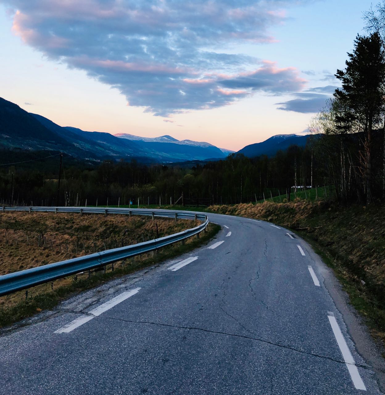 Dovre by night. Elk safari on ebikes 