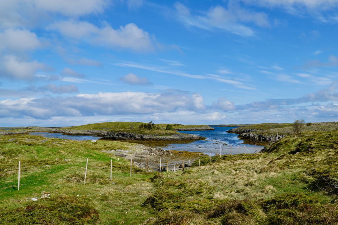 Holandsosen nature reserve Vega 