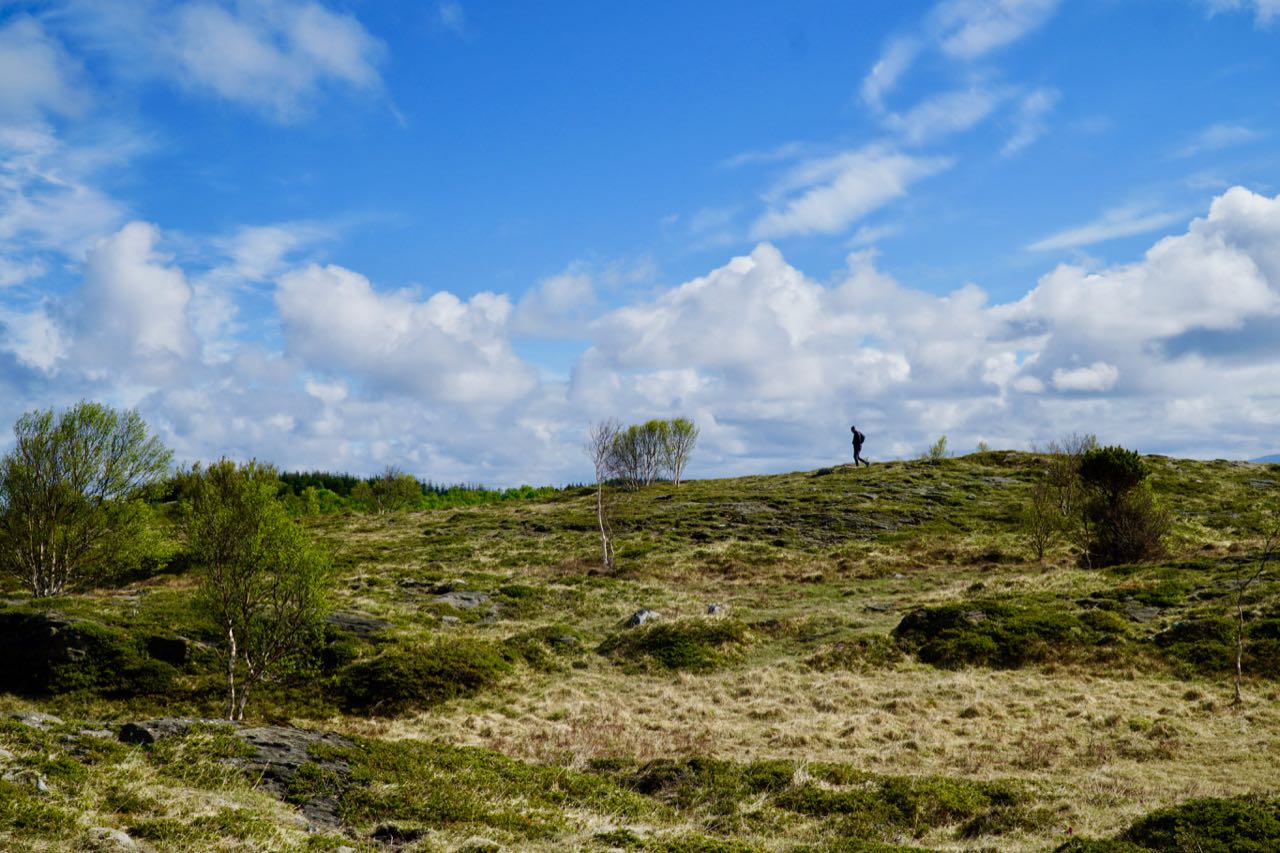 Tur i Holandsosen Naturreservat Vega