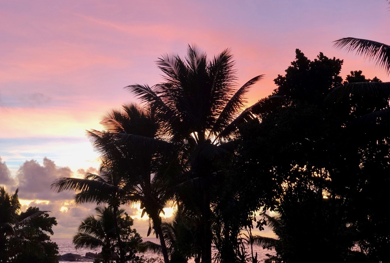 Petite Anse Kerlan Constance Lemuria Reiseguide med Tips og praktisk informasjon om Seychelles