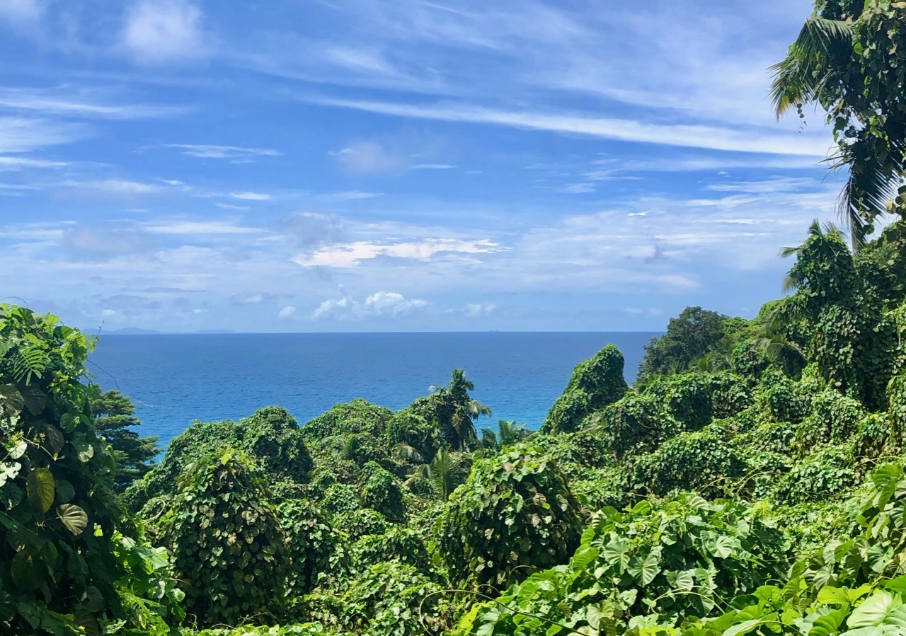 Jungel utsikt Silhouette Island tur til Anse Mondon Reiseguide med Tips og praktisk informasjon om Seychelles
