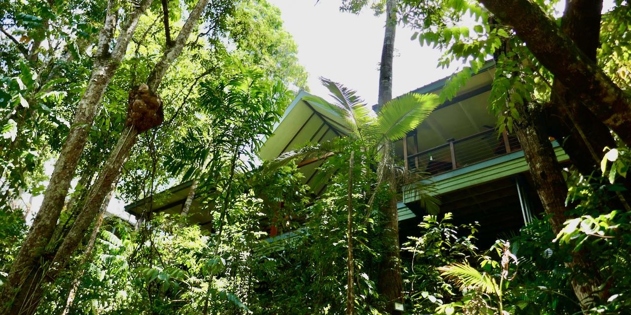 Review Silky Oaks Lodge