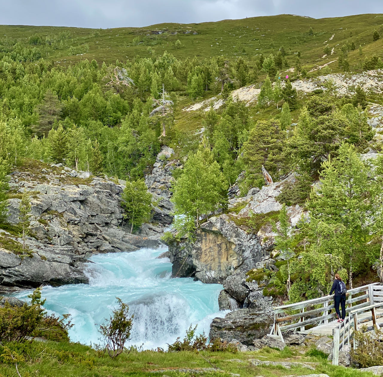 River Tora Billingen