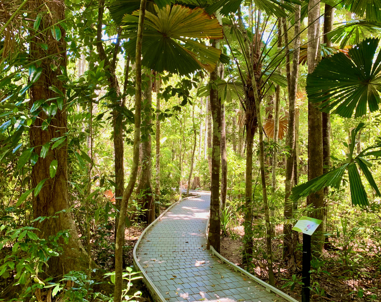 Madja Boardwalk Dagstur til Cape Tribulation