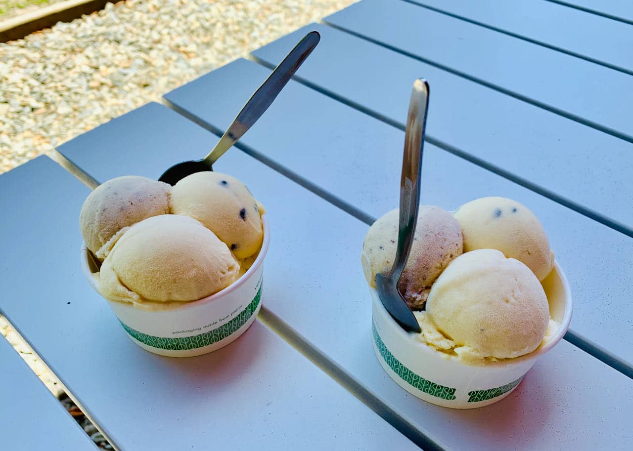 Daintree Ice Cream Company Dagstur til Cape Tribulation