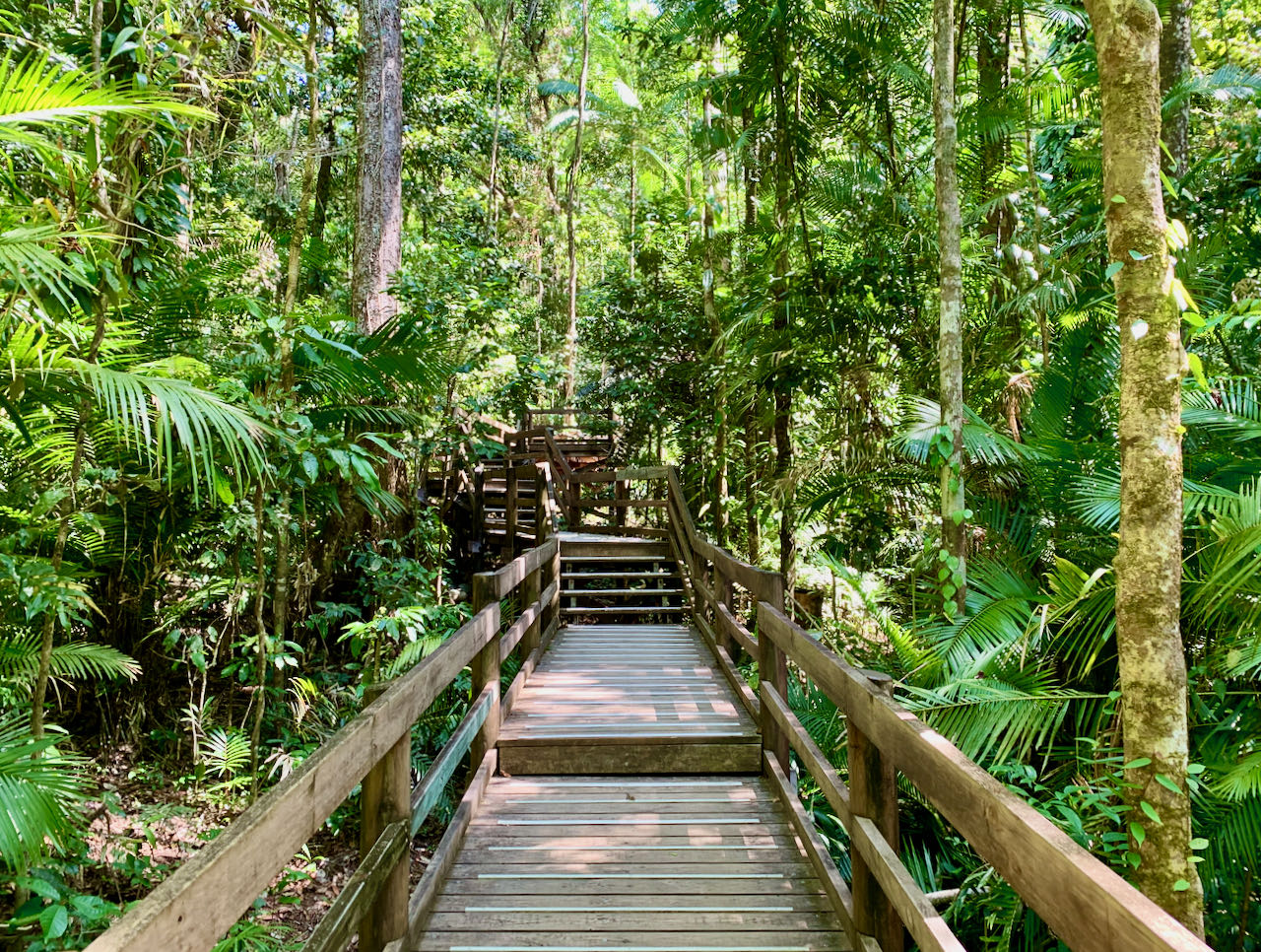 Jindalba Boardwalk Company Dagstur til Cape Tribulation