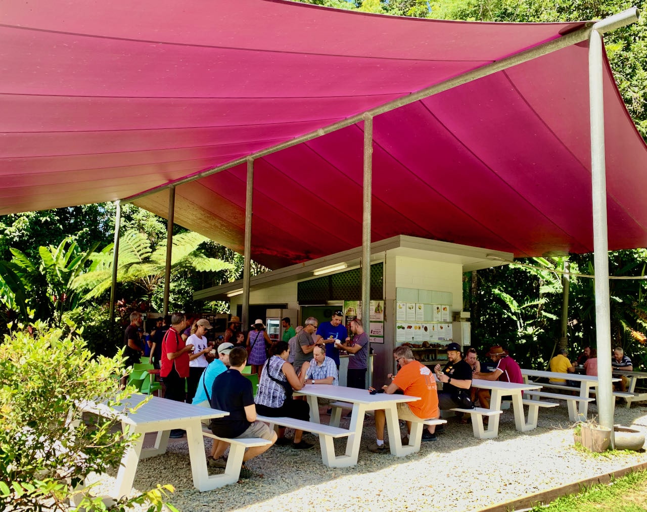 Daintree Ice Cream Company Dagstur til Cape Tribulation