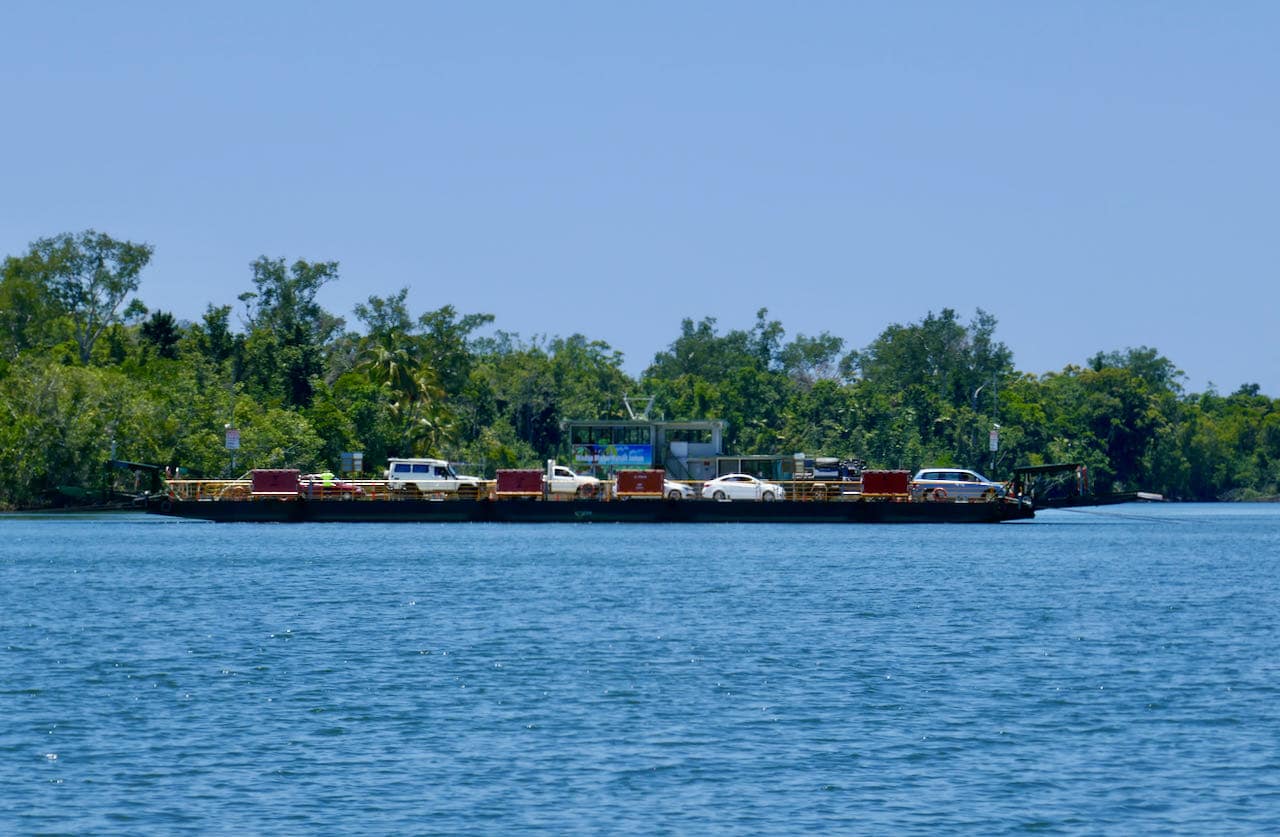 Daintree Ferry Dagstur til Cape Tribulation