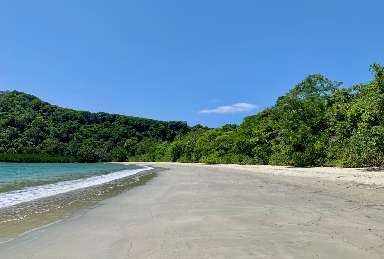 Cape Tribulation Beach Dagstur til Cape Tribulation