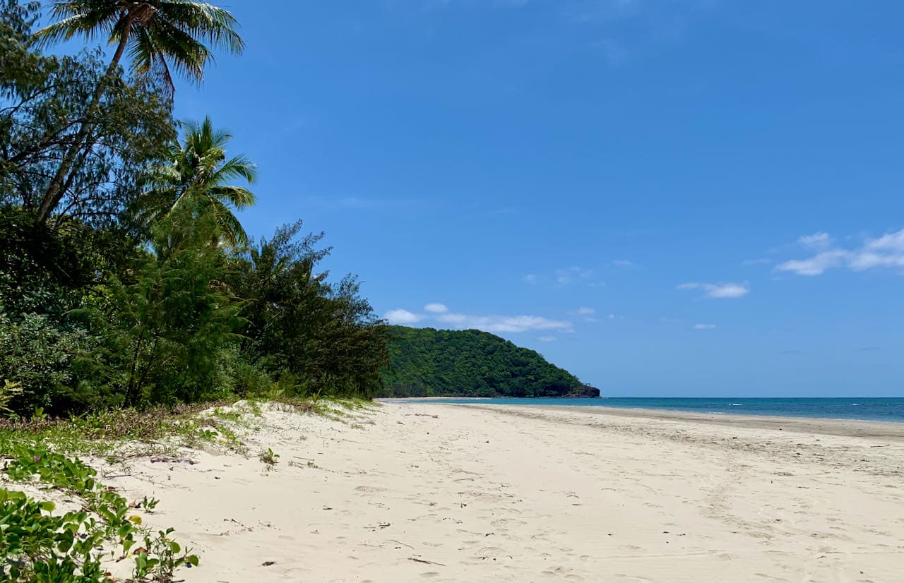 Myall Beach Self-Drive Day Trip to Cape Tribulation