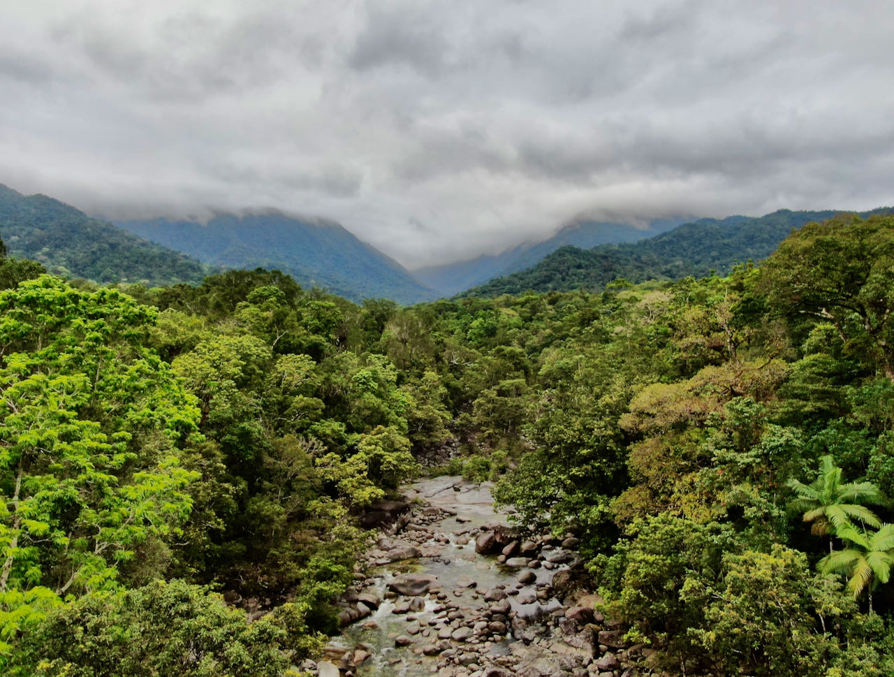 Cairns Road Trip Mossman Gorge