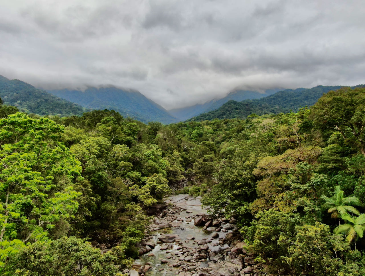 Bilferie Cairns Mossman Gorge