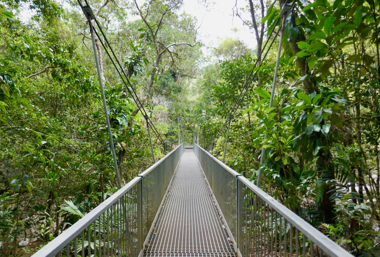 Cairns Road Trip Mossman Gorge