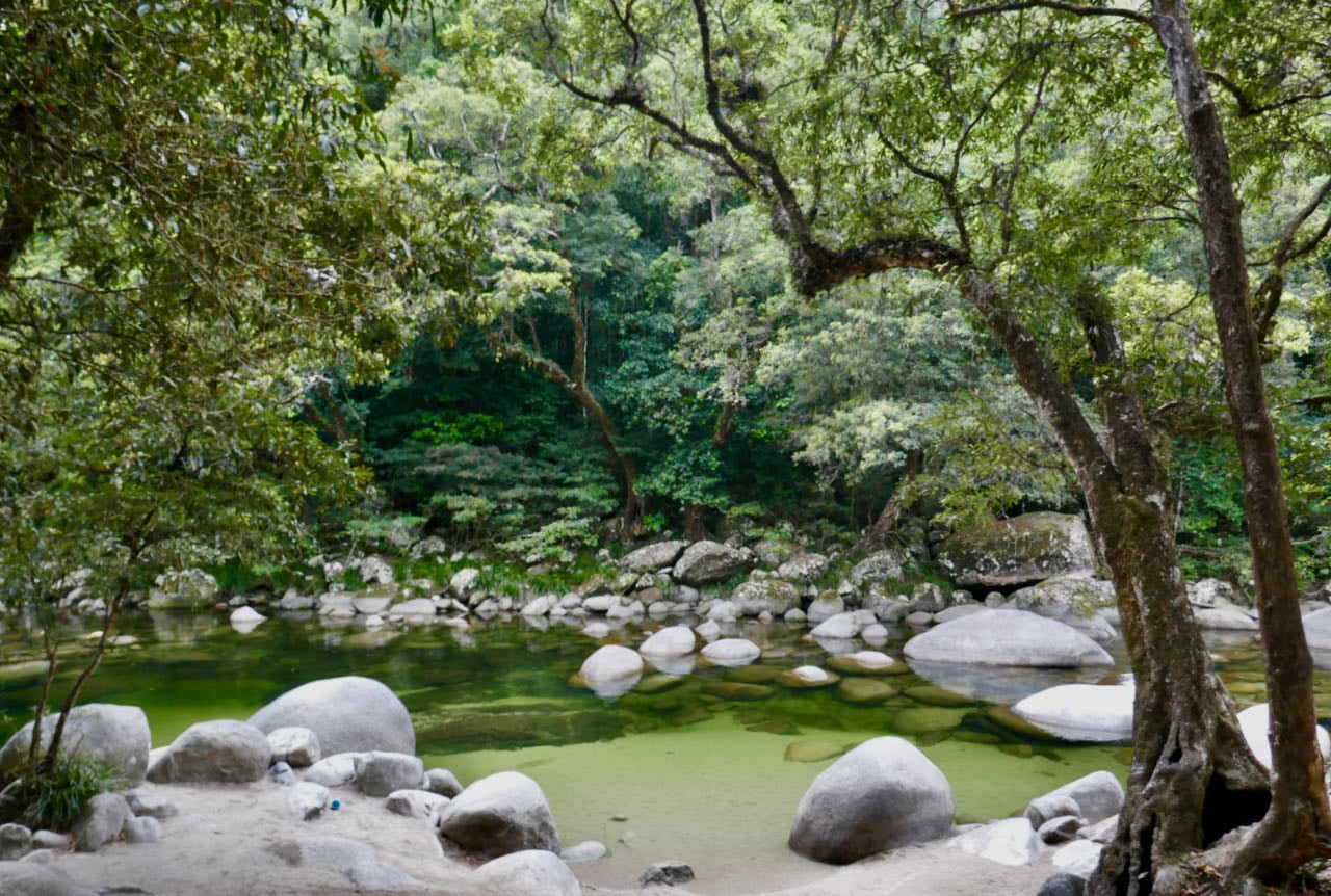 Bilferie Cairns Mossman Gorge