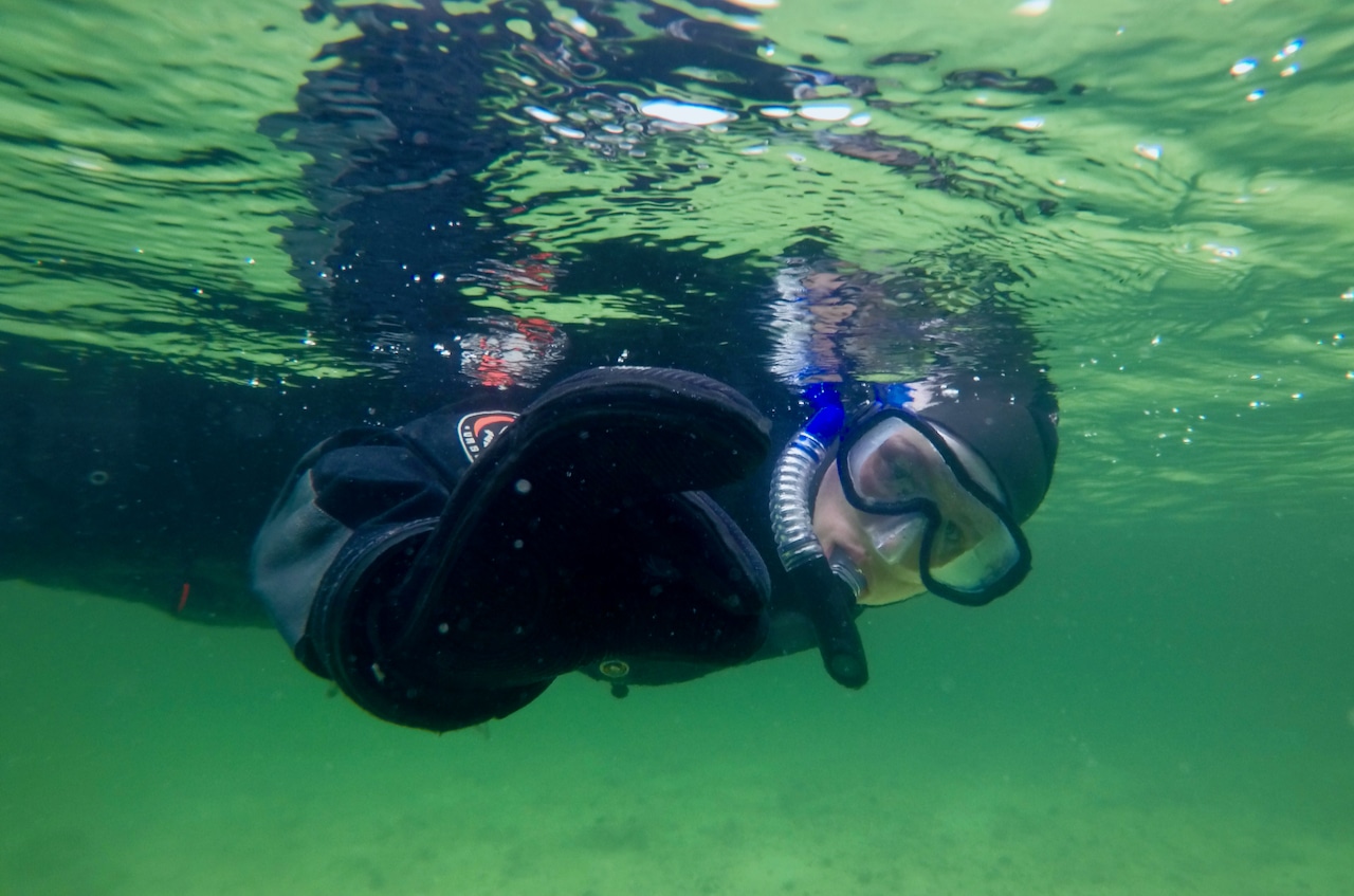 LOFOTEN (Norwegian Scenic Route Lofoten): With a dry suit, you can stay comfortably warm despite the cool water temperature.